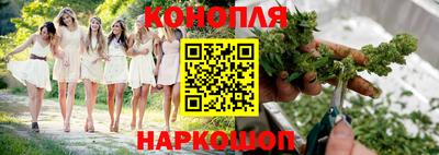 прущие крисы Кулебаки