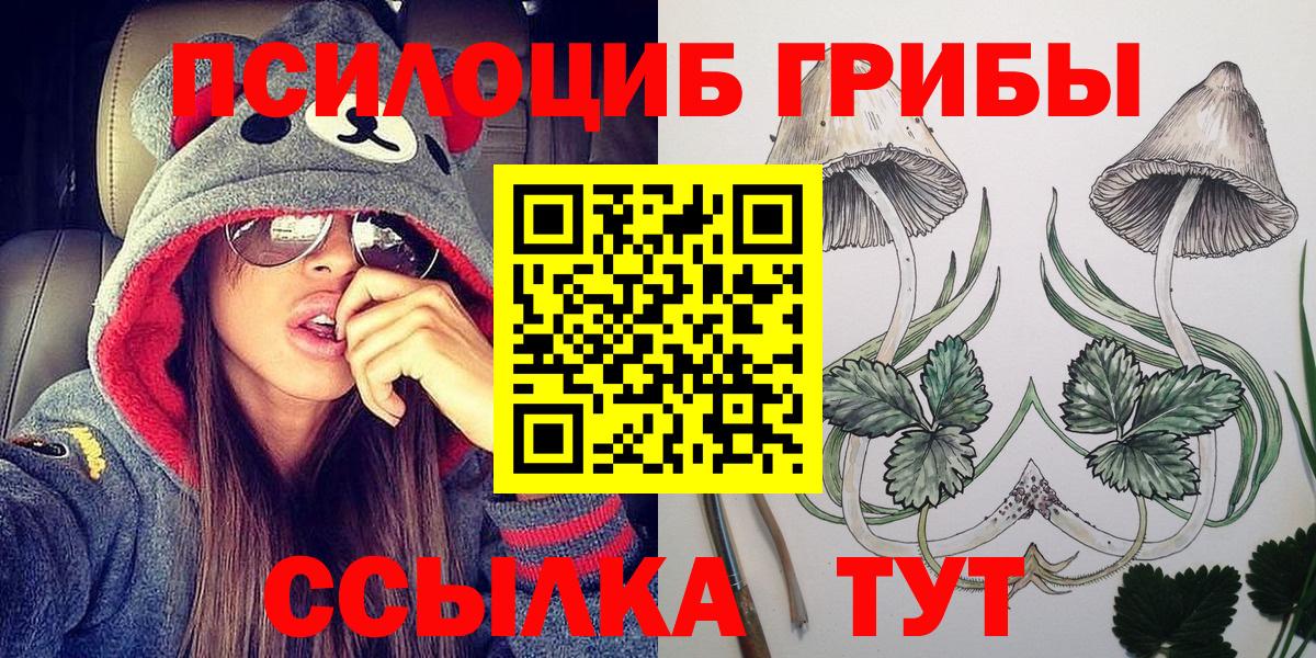 Псилоцибиновые грибы прущие грибы Горячий Ключ